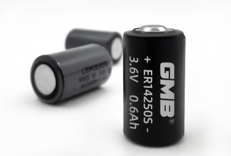 MadgeTech battery ER14505S